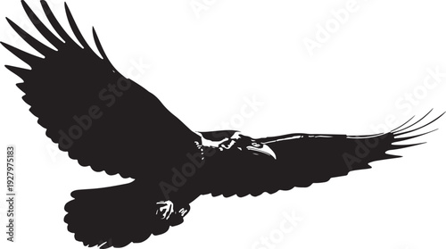 A powerful and detailed black silhouette of a raven or crow captured in mid-flight with its wings spread wide against a clean white background.