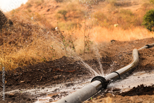 water leaking from a pipe, small leaks in an irrigation pipe in farm land in india. Wasteful use of resources. Water leakage at the drip irrigation point of the hose to the pipe. Due to the leakage.