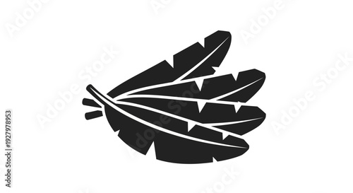 Black Feather Icon Graphic.