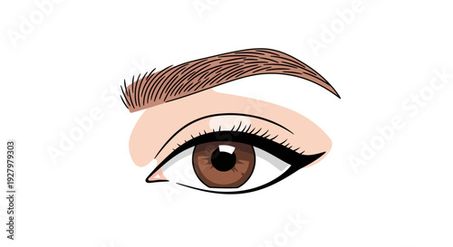 Brown Eye with Makeup.