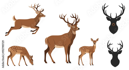 A dynamic collection of five deer illustrations features a jumping deer, a standing adult, a fawn, and two distinct head silhouettes on a bright white canvas.