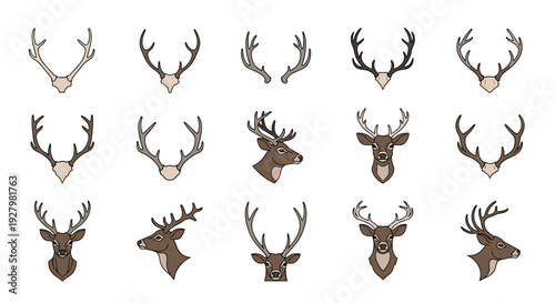 Fifteen diverse illustrations showcasing various deer antlers and detailed deer head profiles are neatly organized on a stark white background.