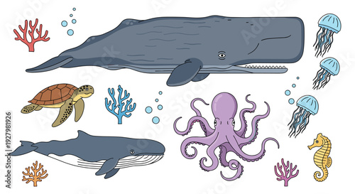 A lively cartoon illustration showcases a sperm whale, blue whale, sea turtle, octopus, seahorse, jellyfish, and coral on a clean white background.
