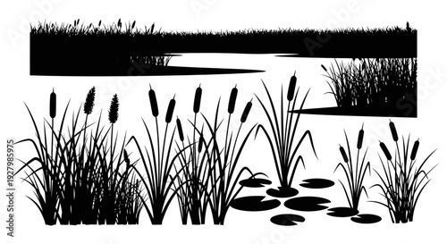 Black Silhouette of Cattails and Reeds in a Serene Pond Environment.