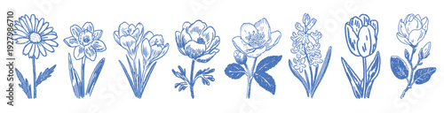 Hand drawn spring flower doodles and botanical sketches for floral design and garden concepts