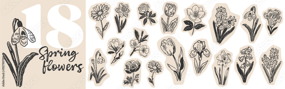 Fototapeta premium Hand drawn spring flower doodles and botanical sketches for floral design and garden concepts