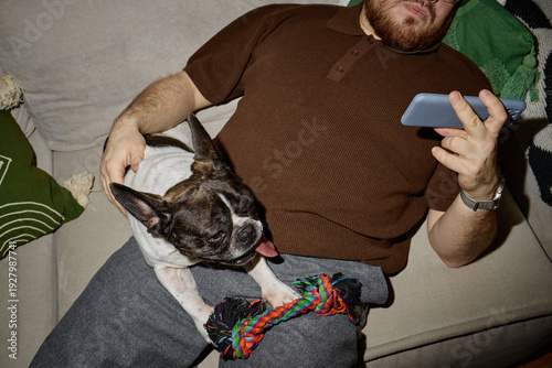 Caucasian young adult man reclining on sofa using smartphone with French Bulldog resting on lap, dog panting with tongue out and colorful rope toy between front paws