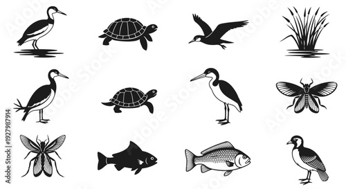 Collection of Black and White Animal Silhouettes Including Birds Reptiles and Insects.