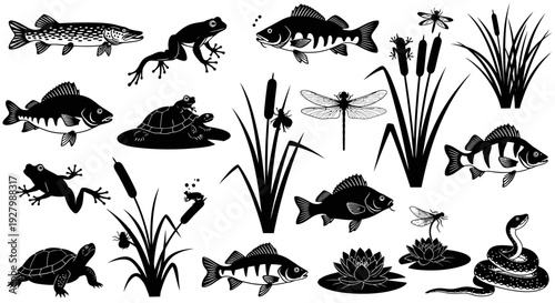 Collection of black silhouettes of various aquatic animals and plants.
