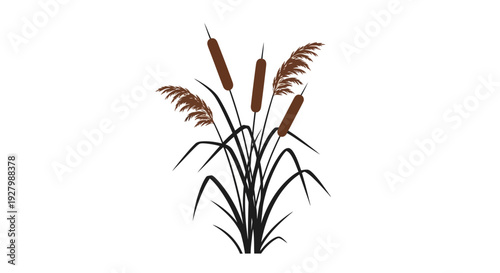 Illustration of cattails with brown flowers and green leaves.