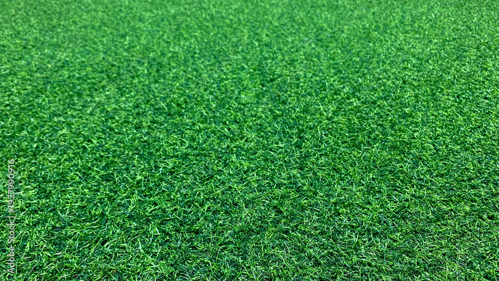 Fototapeta premium High Angle View of Lush Green Grass Lawn Texture Background