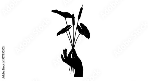 Hand holding cattails with leaves against white background.