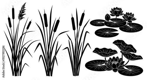 Black and white illustration of cattails and water lilies.