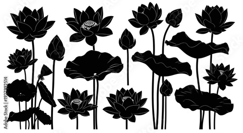 Collection of black lotus flowers silhouettes on white background.