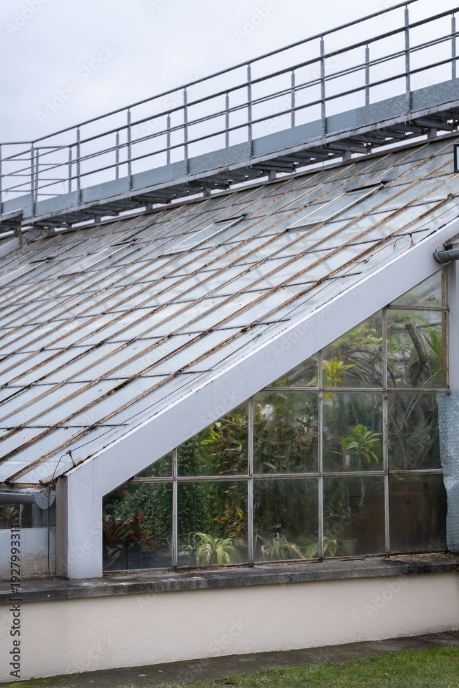 Fototapeta premium Title: Modern Greenhouse Roof with Glass Panels and Metal Structure