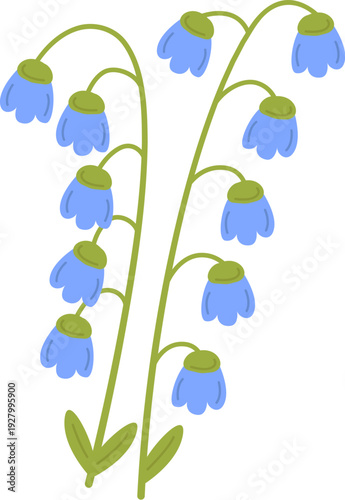 Bluebell Stems Blooming Botanical