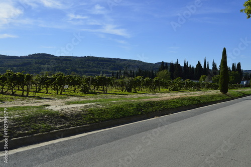 Landscape de vinícola