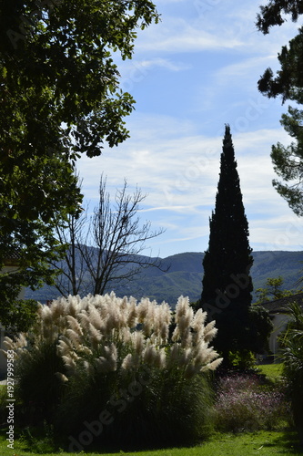 Vista da vegetação