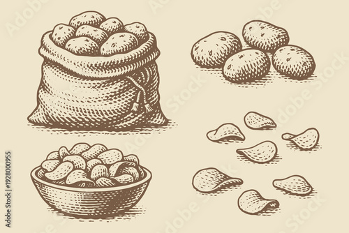 Potatoes and potato chips vintage engraving vector illustration