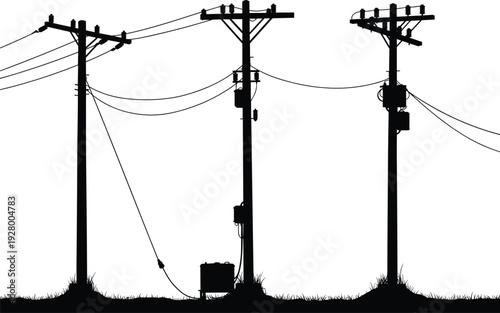 Silhouette of utility poles with transformers, insulators, crossarms, grassy base, perched birds, electricity distribution, rural infrastructure, industrial landscape, high 
