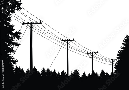 Silhouette of utility poles with power lines, forest background, perspective depth, rural infrastructure, electricity distribution, natural landscape, high voltage grid