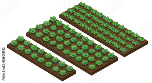 three isometric vegetable garden beds with green leafy plants digital illustration