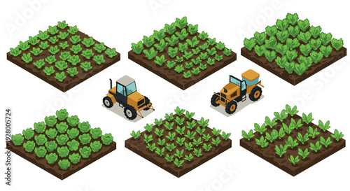 isometric vegetable garden beds with different stages of green leafy plants and yellow tractors in flat style