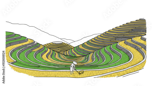 hand drawn illustration of terraced rice fields with a farmer working in the field rural agricultural landscape