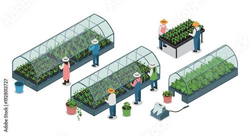 isometric illustration of people working in greenhouses and plant nursery with potted plants and gardening equipment