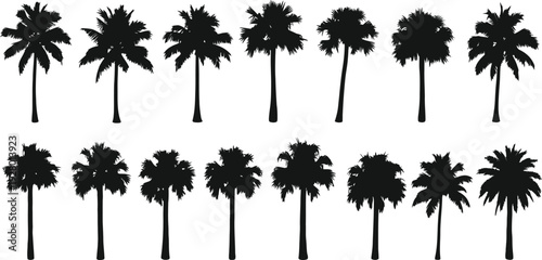 Palm trees silhouetted against a bright background, creating a serene landscape view from a distance.