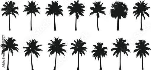 Collection of various palm tree silhouettes against a plain background from different viewpoints
