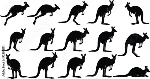 Kangaroo silhouettes collection, hopping standing lying poses, wildlife animal icons, Australia nature pattern, black vector illustration, cad drawing flat vector illustration