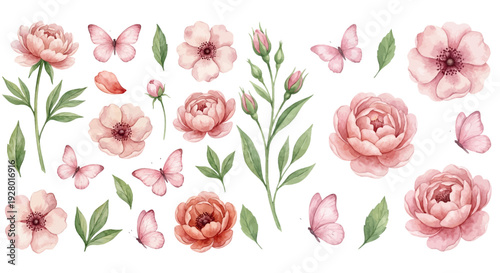 A charming watercolor collection of pink flowers, leaves and butterflies, featuring soft pink blooms, delicate petals, fluttering butterflies, leafy stems, and romantic botanical accents.