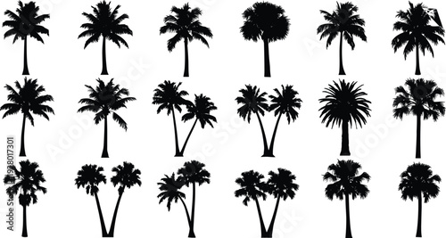 Palm tree silhouettes collection, tropical coconut trees icons set, summer beach nature black and white botanical vector illustration isolated design