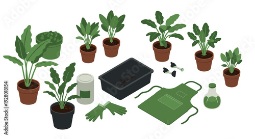 set of indoor potted plants with gardening tools and supplies in flat isometric style