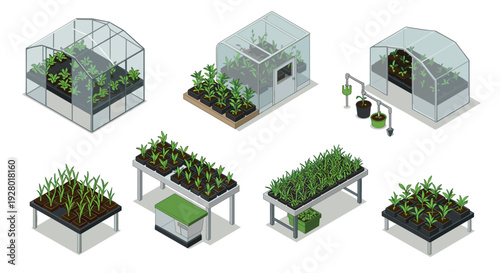 isometric greenhouses and planting tables with seedlings in hand drawn style for gardening and agriculture design