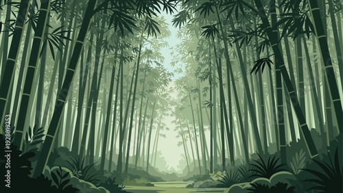 dense bamboo forest landscape with tall stalks and lush leaves hand drawn style nature background