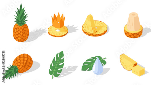 isometric hand drawn pineapple fruit set with slices leaves and water drop illustration