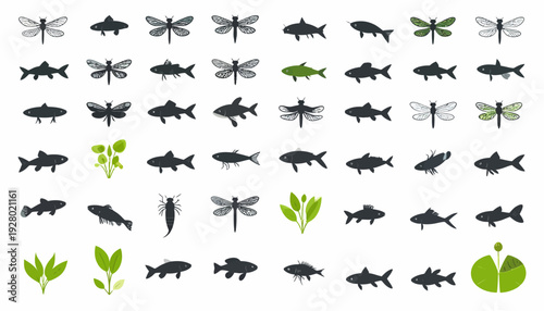 Collection of Insect Fish and Plant Silhouettes.