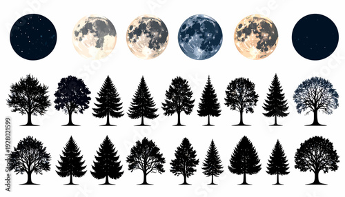 Collection of Tree Silhouettes and Moon Phases.