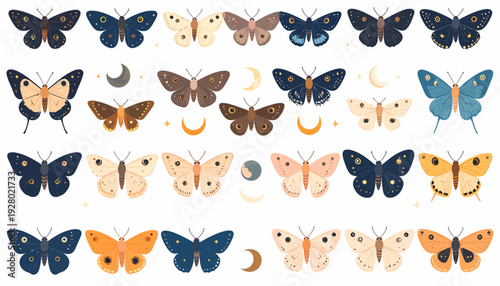 Collection of Various Butterfly Species Isolated.