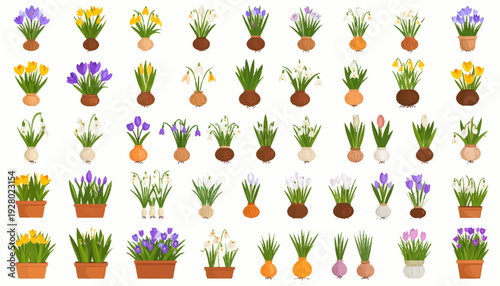 Collection of Various Potted Flowering Plants.