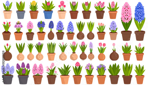 Collection of Various Potted Flowering Plants.