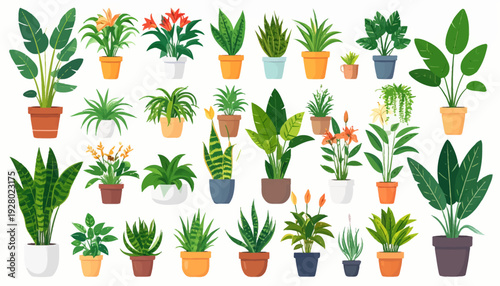 Collection of Various Potted Houseplants and Plants.