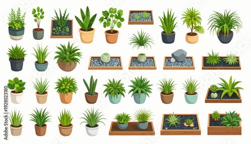 Collection of Various Potted Plants and Planters.