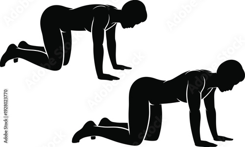 Female fitness exercise silhouette set in quadruped position, woman performing core strengthening and stretching workout isolated on white background for yoga and rehabilitation design.