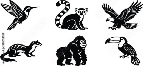 Black and white stylized animal illustrations featuring hummingbird, lemur, eagle, skunk, gorilla, and toucan silhouettes showcasing biodiversity and wildlife art collection