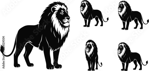 Black silhouette illustrations of male lions with detailed manes, standing poses, and tail features, perfect for wildlife artwork, design, and educational projects