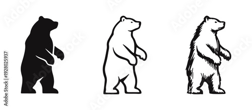 Standing Bear Animal Icons Set in Solid, Outline, and Hand Drawn Styles