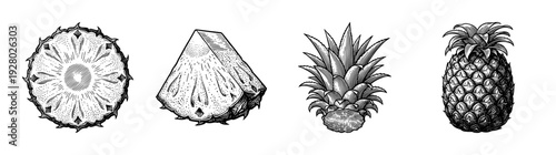Vintage engraving style pineapple collection featuring whole fruit, sliced round, wedge, and leafy crown crown in a detailed black and white woodcut illustration.